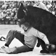 Illustration for article titled The Amazing True Story Of Victor, The Wrestling Bear